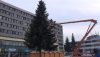 171205 - stavanie stromceka.Movie_Snímek