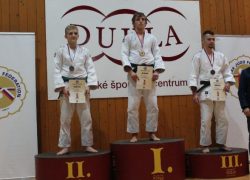 Majstrovstvá Slovenska mužov a žien v jude Judo