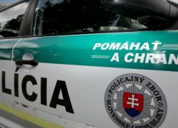 Vzal čo mu prišlo do cesty Policia