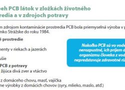 Zástupcovia regionálnej a miestnej samosprávy požiadali o pomoc vládu SR TS I
