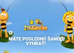 Vranov: zaregistrujte sa, hlasujte a pomôžte mestu Vranov nad Topľou vyhrať detské ihrisko Ziha