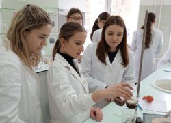 Župné stredné školy majú pre budúcich prvákov vyše 5 100 miest gym